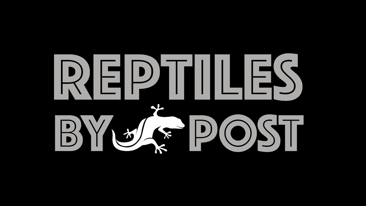 Reptiles By Post logo