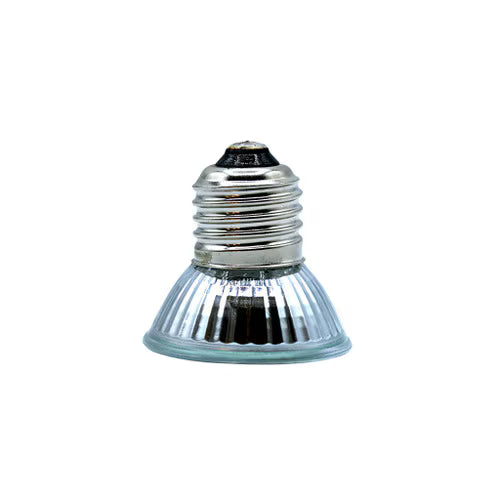 Arcadia Mini Halogen Heat Lamp