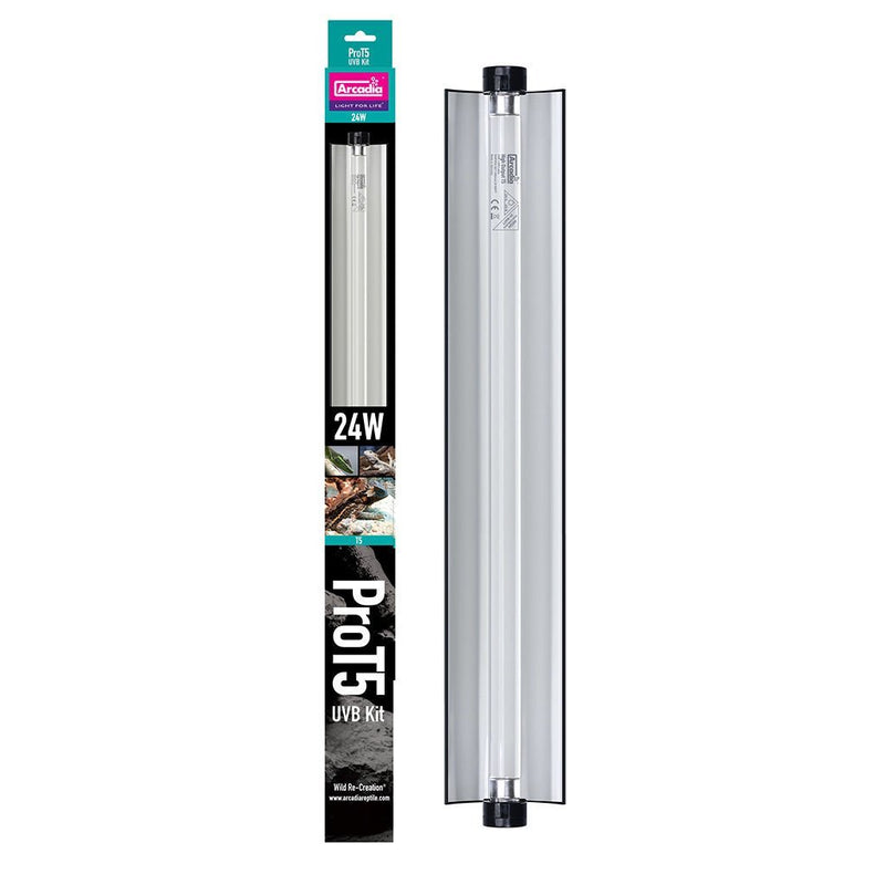 Arcadia Pro T5 UVB Kit, Dragon, 14% UVB - Reptiles By Post