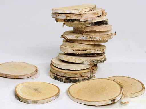 Birch Slices (7 - 10cm) - Reptiles By Post
