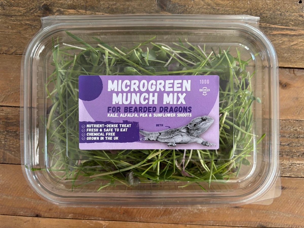Photo inspiration: Gallery Detail: Uk Grown Microgreen Salad Mix For Bearded Dragons Tortoises
