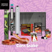 Complete Adult Corn Snake Setup - With Vivarium - Reptiles By Post
