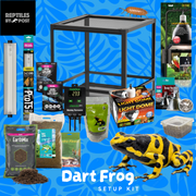 Complete Dart Frog Set Up Kit - Reptiles By Post