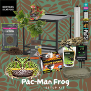 Complete Pac-Man Frog SetUp Kit - Reptiles By Post