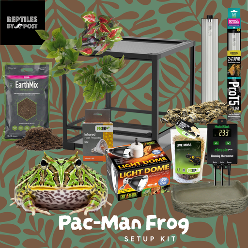 Complete Pac-Man Frog SetUp Kit - Reptiles By Post