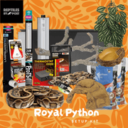 Complete Royal Python Set up Kit With Vivarium - Reptiles By Post