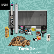 Complete Tortoise Setup - With 4ft x 2ft x 2ft Vivarium - Reptiles By Post