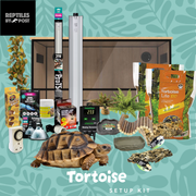Complete Tortoise Setup - With 4ft x 2ft x 2ft Vivarium - Reptiles By Post