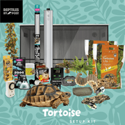 Complete Tortoise Setup - With 4ft x 2ft x 2ft Vivarium - Reptiles By Post