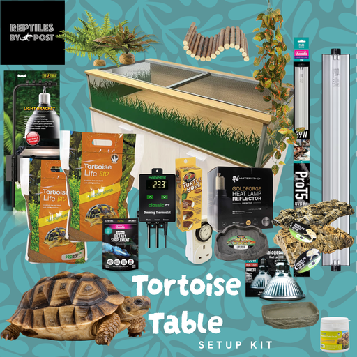 Complete Tortoise Setup - With Table - Reptiles By Post