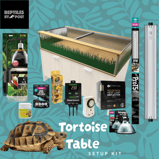Complete Tortoise Table Set Up - Reptiles By Post