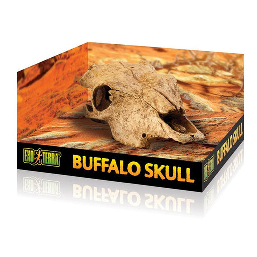 Exo Terra Buffalo Skull - Reptiles By Post