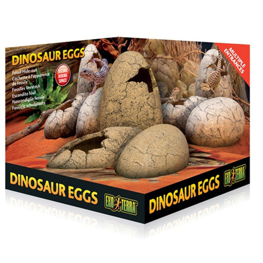 Exo Terra Dinosaur Eggs Fossil Hide Out - Reptiles By Post