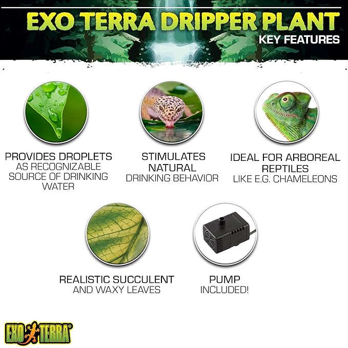 Exo Terra Dripper Plant - Reptiles By Post