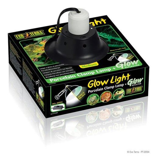 Exo Terra Glow Light/Reflector - Reptiles By Post