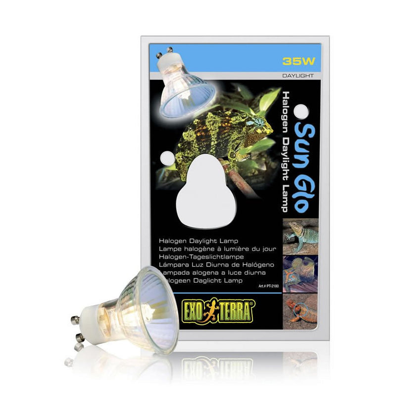 Exo Terra Halogen Basking Spot 35W, GU10 - Reptiles By Post