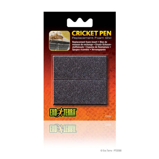 Exo Terra Replacement Sponge for Cricket Pen - Reptiles By Post