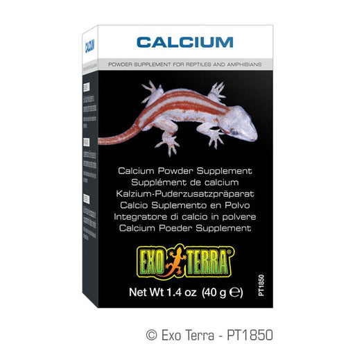 Exo Terra Reptile Calcium (no D3) - Reptiles By Post