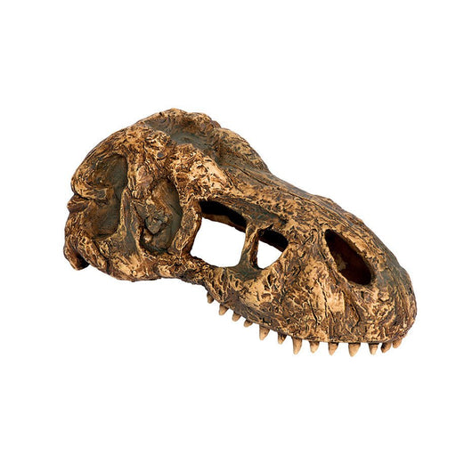 Exo Terra T Rex Skull - Reptiles By Post