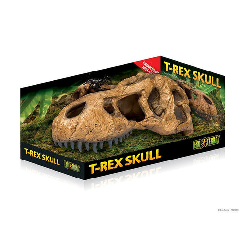 Exo Terra T Rex Skull - Reptiles By Post