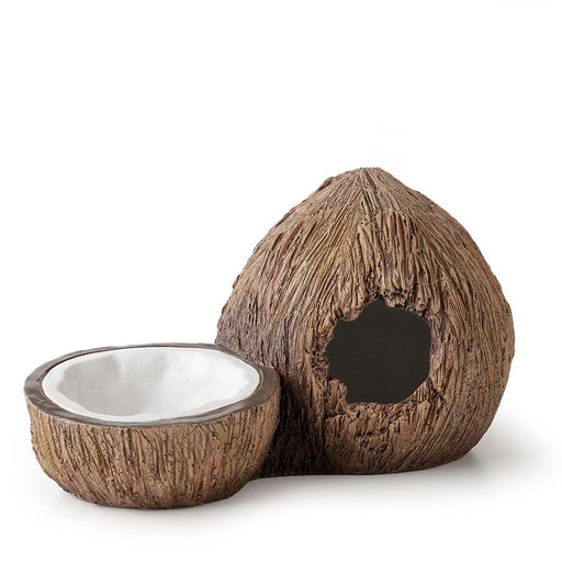 Exo Terra Tiki Coconut Hide & Water Dish - Reptiles By Post