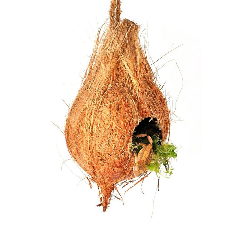 HabiStat Arboreal Hide - Reptiles By Post