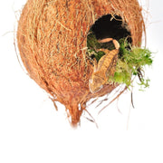 HabiStat Arboreal Hide - Reptiles By Post