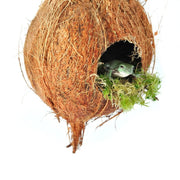 HabiStat Arboreal Hide - Reptiles By Post