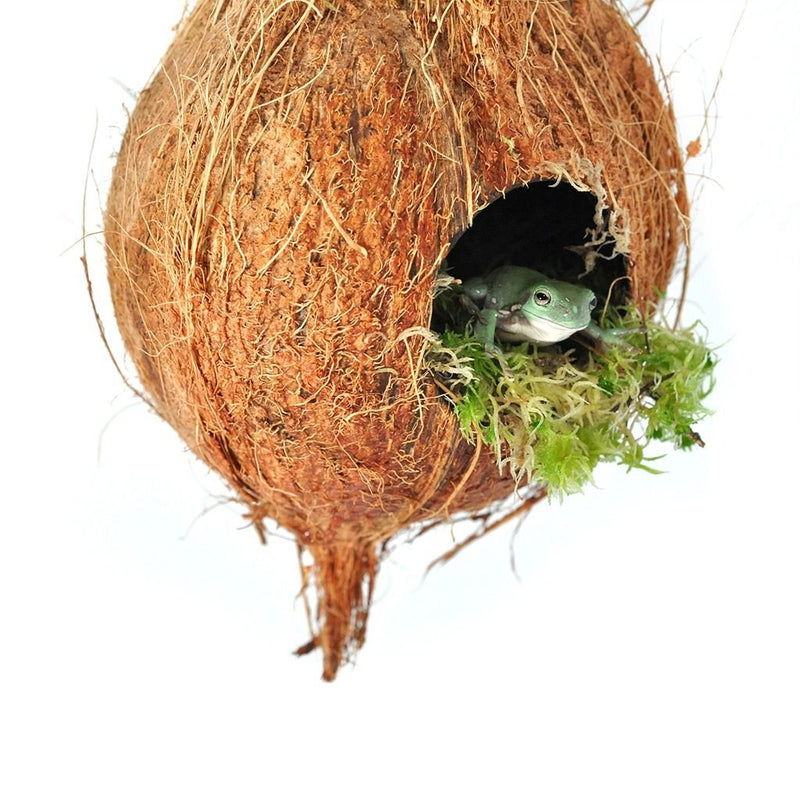 HabiStat Arboreal Hide - Reptiles By Post