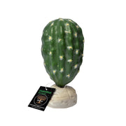 HabiStat Cacti Artificial Plant - Reptiles By Post