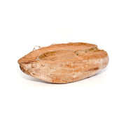 HabiStat Coco Bowl - Reptiles By Post