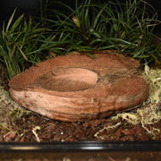 HabiStat Coco Bowl - Reptiles By Post
