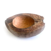 HabiStat Coco Bowl - Reptiles By Post