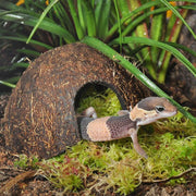 HabiStat Coconut Cave - Reptiles By Post