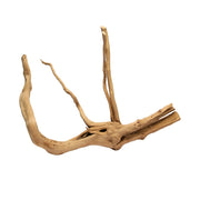 HabiStat Desert Driftwood - Reptiles By Post