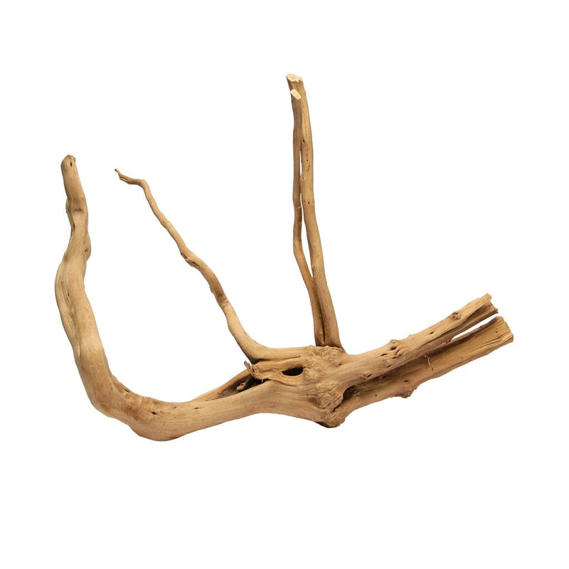 HabiStat Desert Driftwood - Reptiles By Post