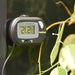 Habistat Digital Thermometer - Reptiles By Post