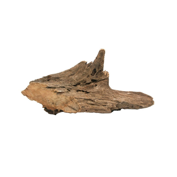 HabiStat Driftwood - Reptiles By Post