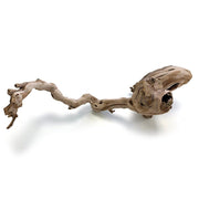 HabiStat Grapevine, Sand Blasted - Reptiles By Post