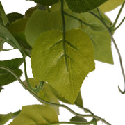 HabiStat Hanging Vine - Reptiles By Post