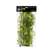 HabiStat Hanging Vine - Reptiles By Post