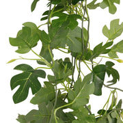 HabiStat Hanging Vine - Reptiles By Post