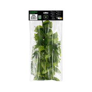 HabiStat Hanging Vine - Reptiles By Post