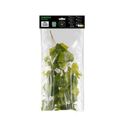 HabiStat Hanging Vine - Reptiles By Post