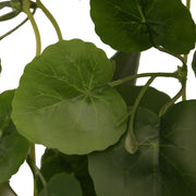 HabiStat Hanging Vine Plus 100cm - Reptiles By Post