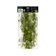 HabiStat Hanging Vine Plus 100cm - Reptiles By Post