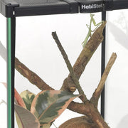 HabiStat Invertebrate Starter Kit - Reptiles By Post