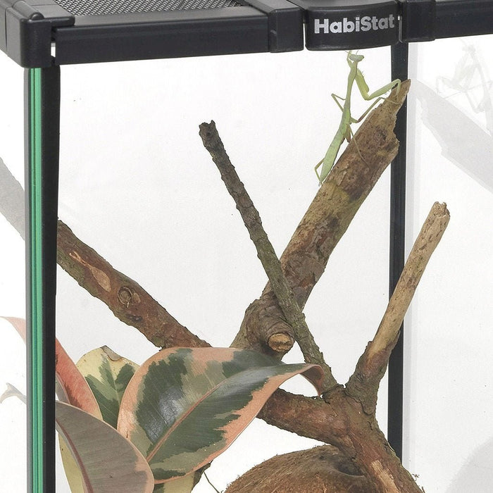 HabiStat Invertebrate Starter Kit - Reptiles By Post