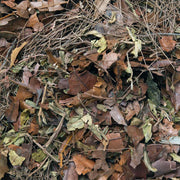 HabiStat Leaf Litter Mulch - Reptiles By Post