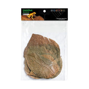 HabiStat Leaves, Dadap, 10 Pack - Reptiles By Post